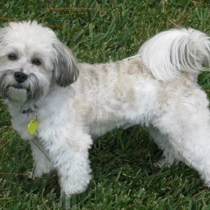 Meet your Posher, Clarice